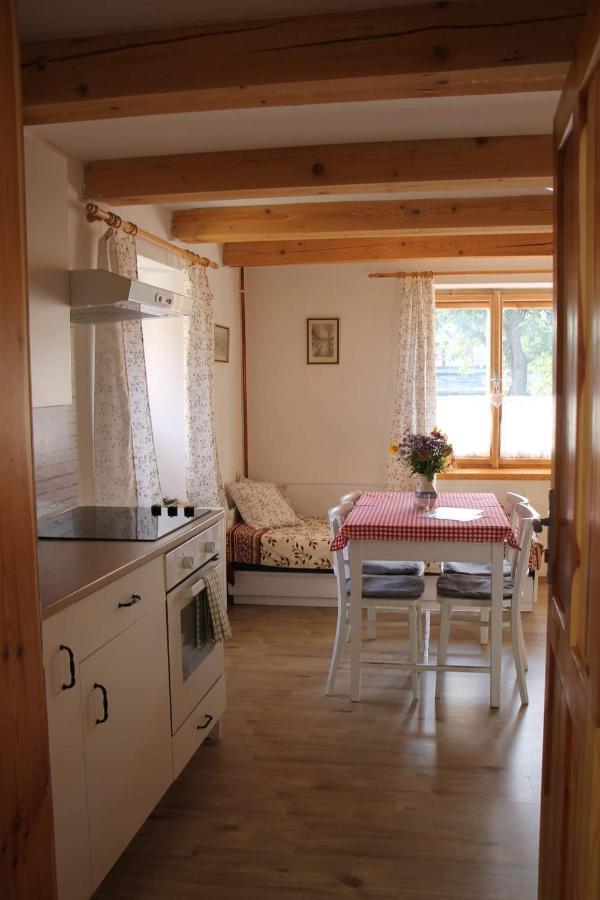Pod Zamkem Apartment Mnichovo Hradiste