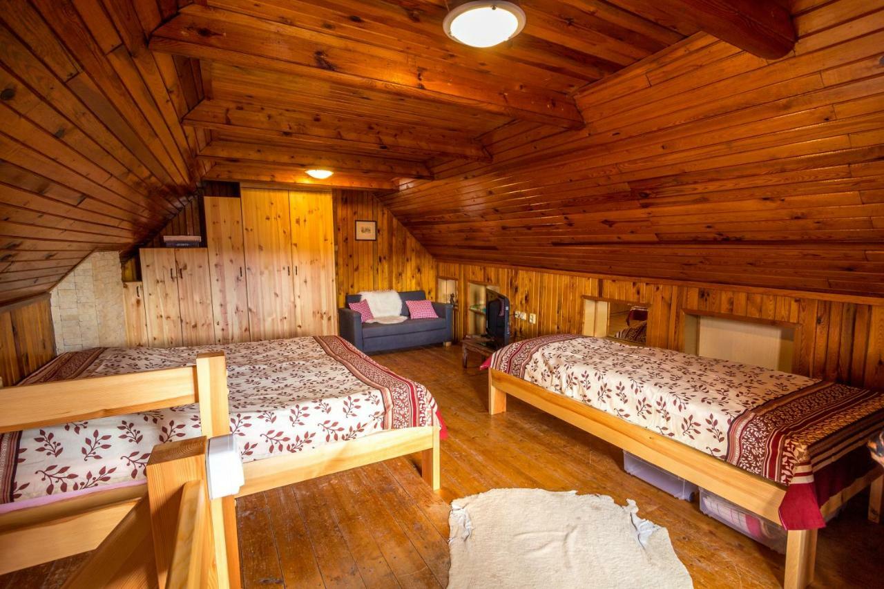 Pod Zamkem Apartment Mnichovo Hradiste
