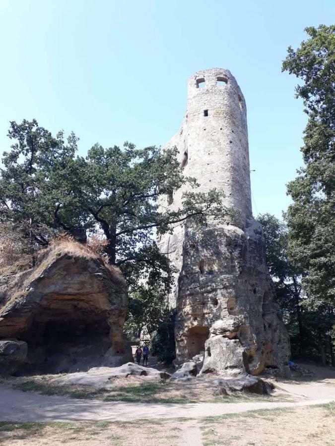 Pod Zamkem Mnichovo Hradiste