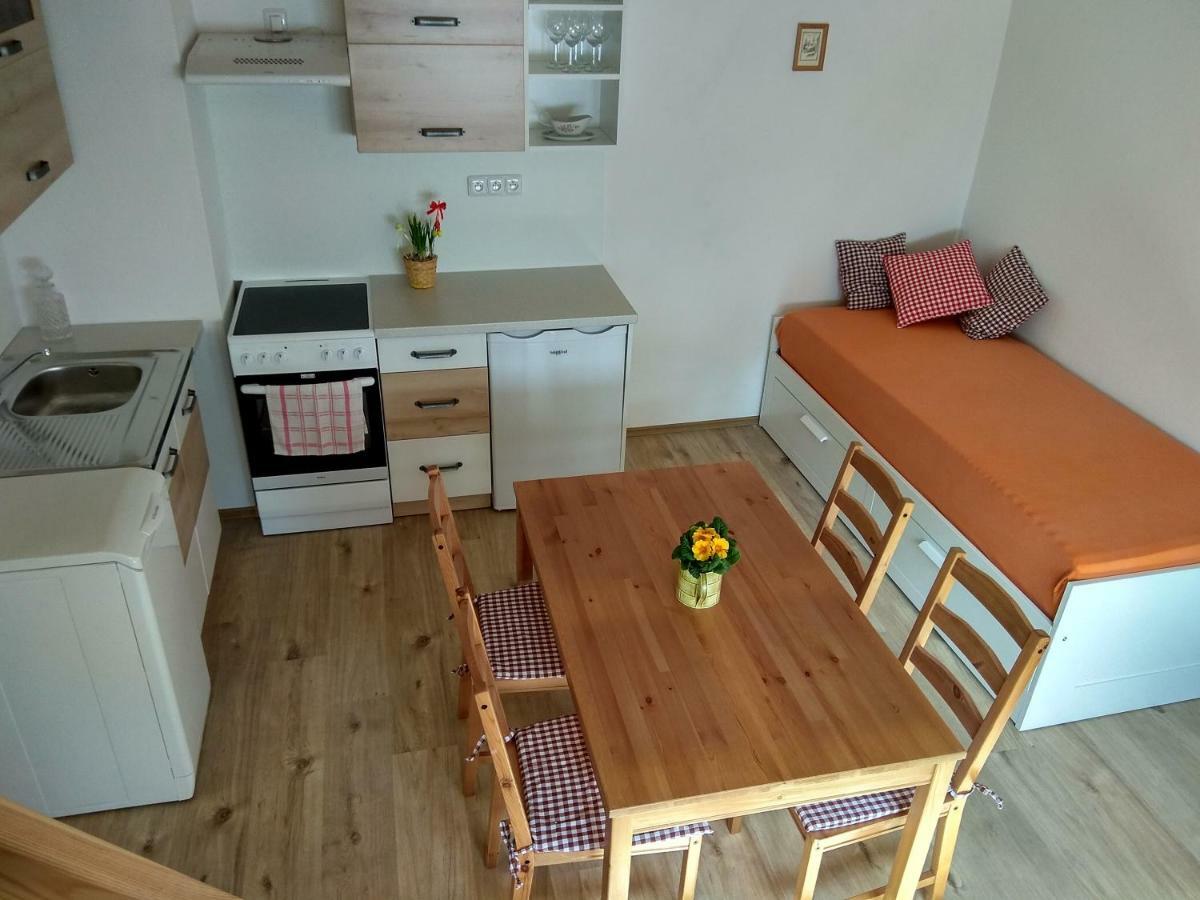 Pod Zamkem Apartment *